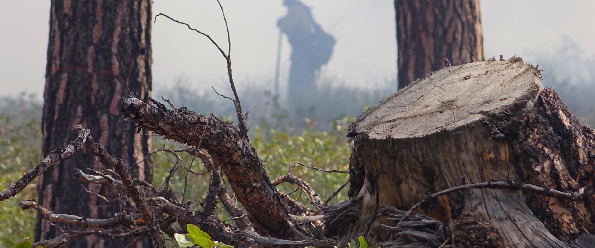 Clearing Debris and Brush to Reduce Fire Risk: A Comprehensive Guide