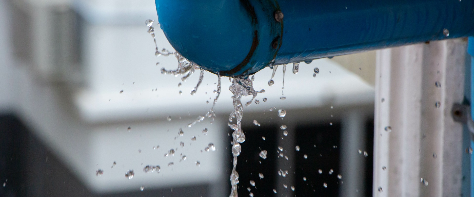 The Importance of Response Time: Choosing the Right Water Damage Company