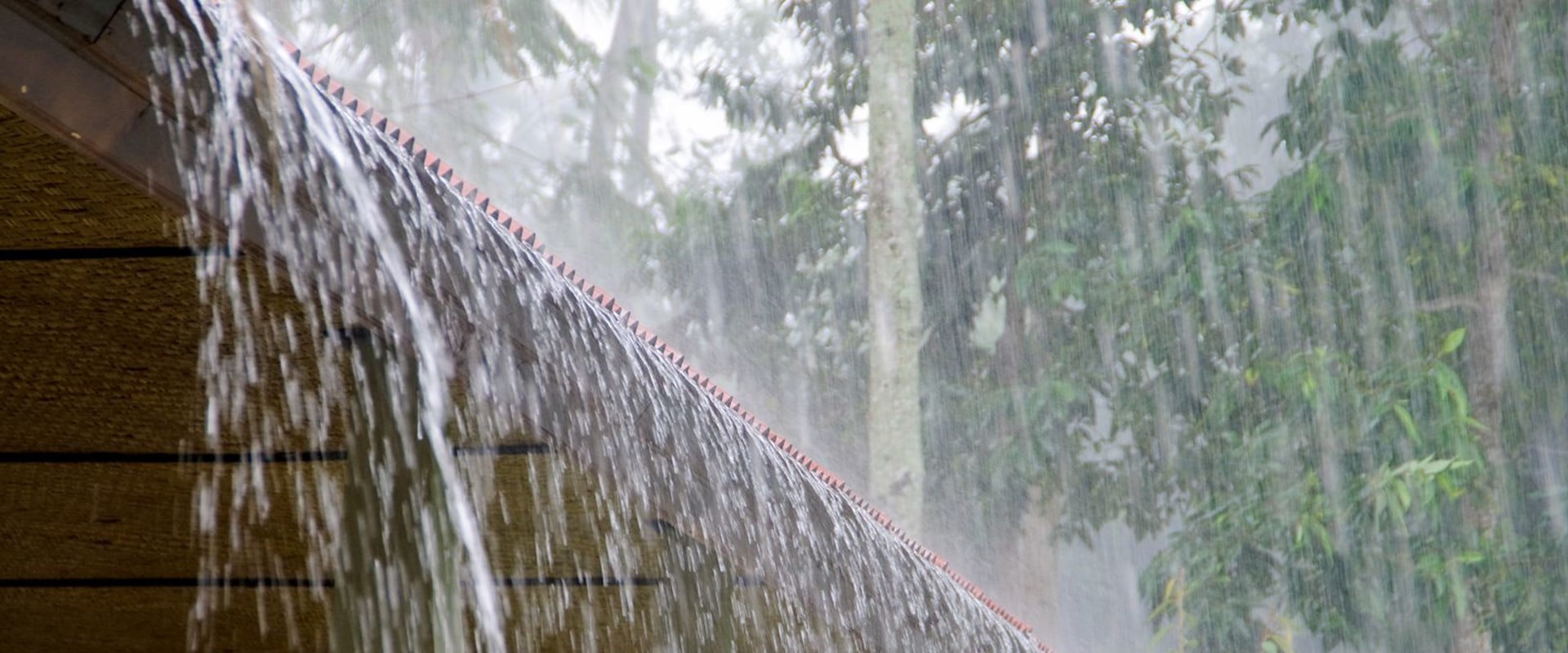 All You Need to Know About Heavy Rain