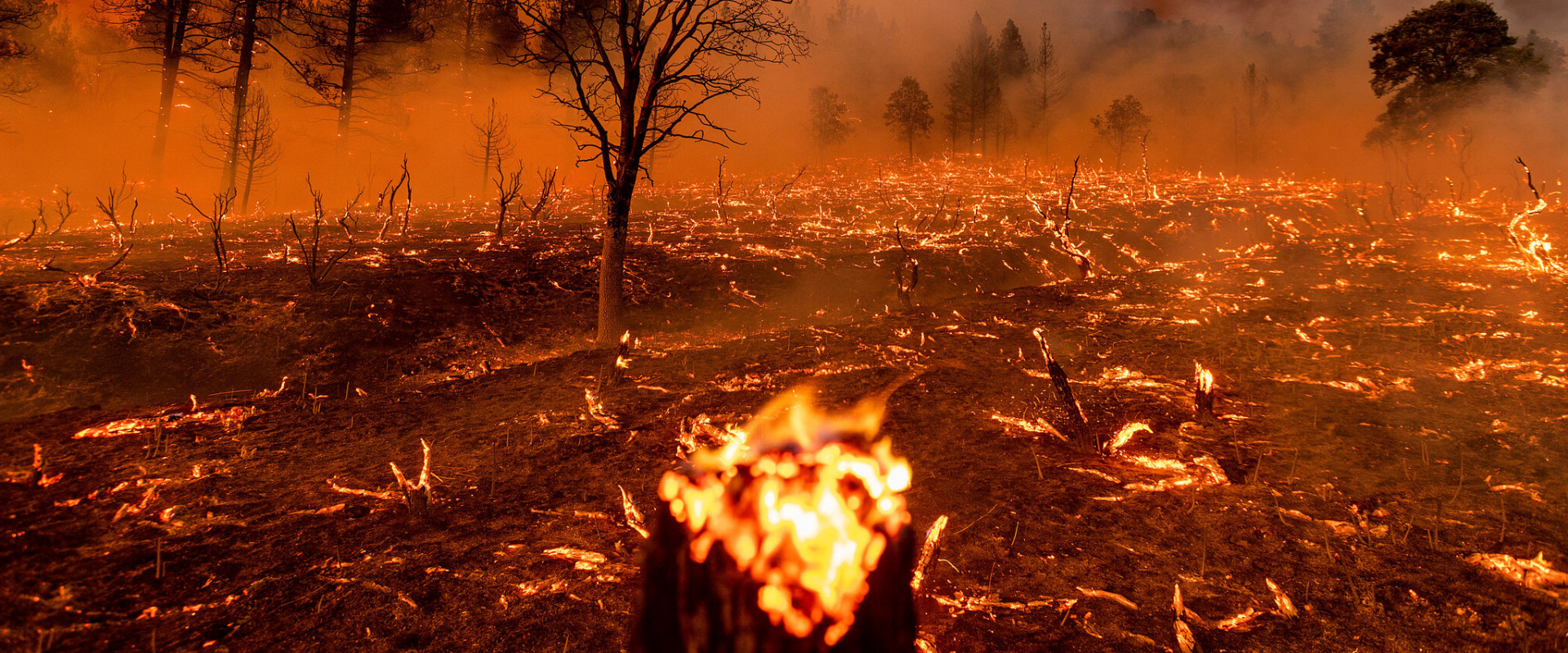 Tips for Preventing Fires During Wildfires and Earthquakes