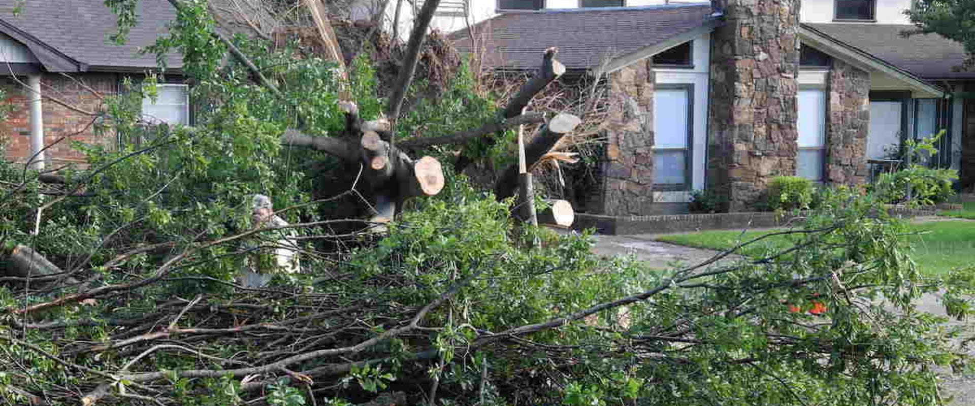 How to Protect Your Home from Falling Branches: Trimming Trees Near Your Home