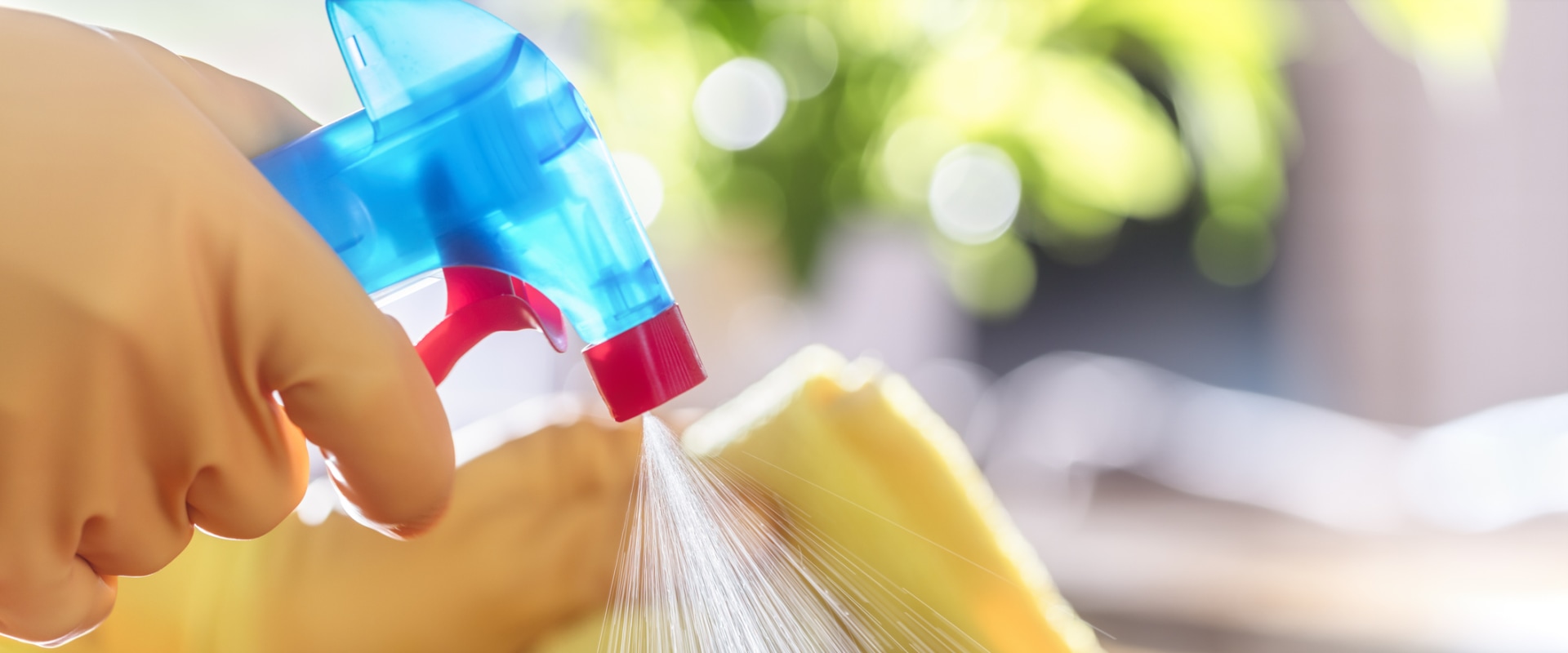 Sanitizing Affected Areas: How to Effectively Clean and Disinfect