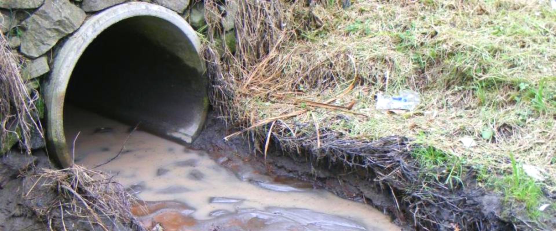 How to Prevent Clogged Drains and Protect Your Home from Water Damage