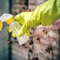 Treating for Mold and Bacteria Growth: A Comprehensive Guide
