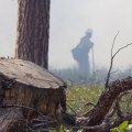 Clearing Debris and Brush to Reduce Fire Risk: A Comprehensive Guide