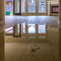 Removing standing water: A Comprehensive Guide for Water Damage Restoration