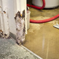 Tips for Checking State Licensing When Choosing a Water Damage Company