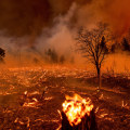 Tips for Preventing Fires During Wildfires and Earthquakes