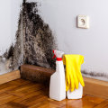 The Importance of Mold Remediation and Prevention