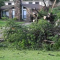 How to Protect Your Home from Falling Branches: Trimming Trees Near Your Home