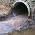 How to Prevent Clogged Drains and Protect Your Home from Water Damage