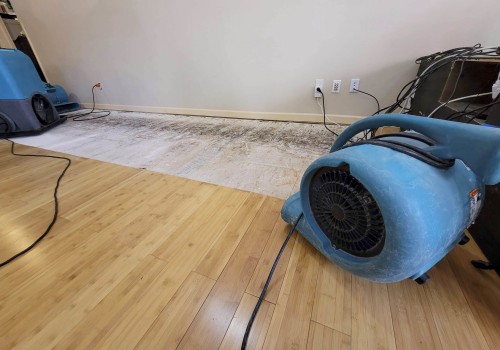The Importance of Monitoring Moisture Levels in Water Damage Restoration