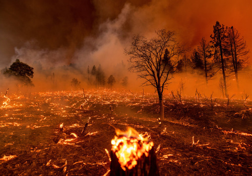 Tips for Preventing Fires During Wildfires and Earthquakes