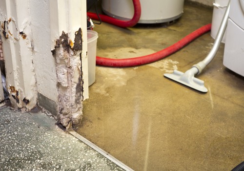 Choosing the Right Water Damage Company: Why Experience Matters