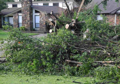 How to Protect Your Home from Falling Branches: Trimming Trees Near Your Home